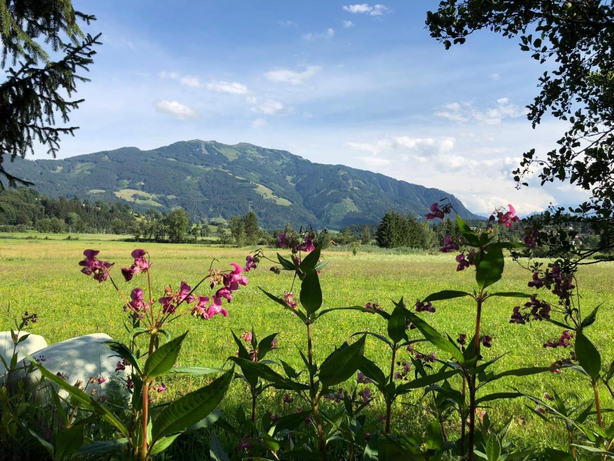 Pension Erlhof Saalfelden Dış mekan fotoğraf