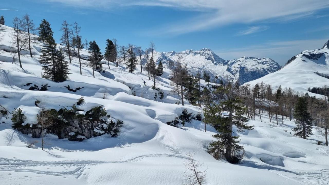 Pension Erlhof Saalfelden Dış mekan fotoğraf