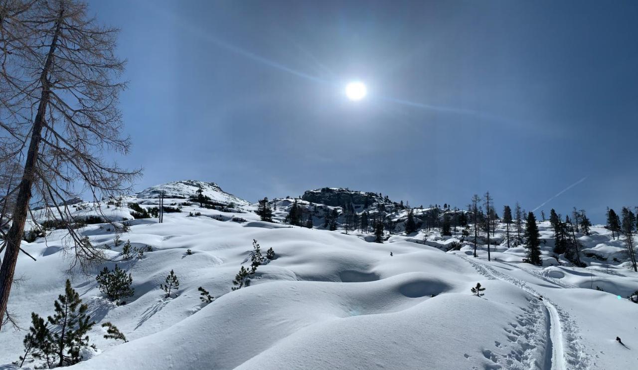 Pension Erlhof Saalfelden Dış mekan fotoğraf