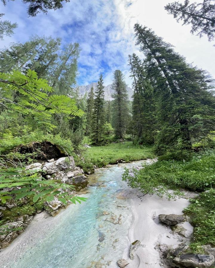 Pension Erlhof Saalfelden Dış mekan fotoğraf