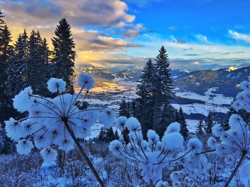 Pension Erlhof Saalfelden Dış mekan fotoğraf