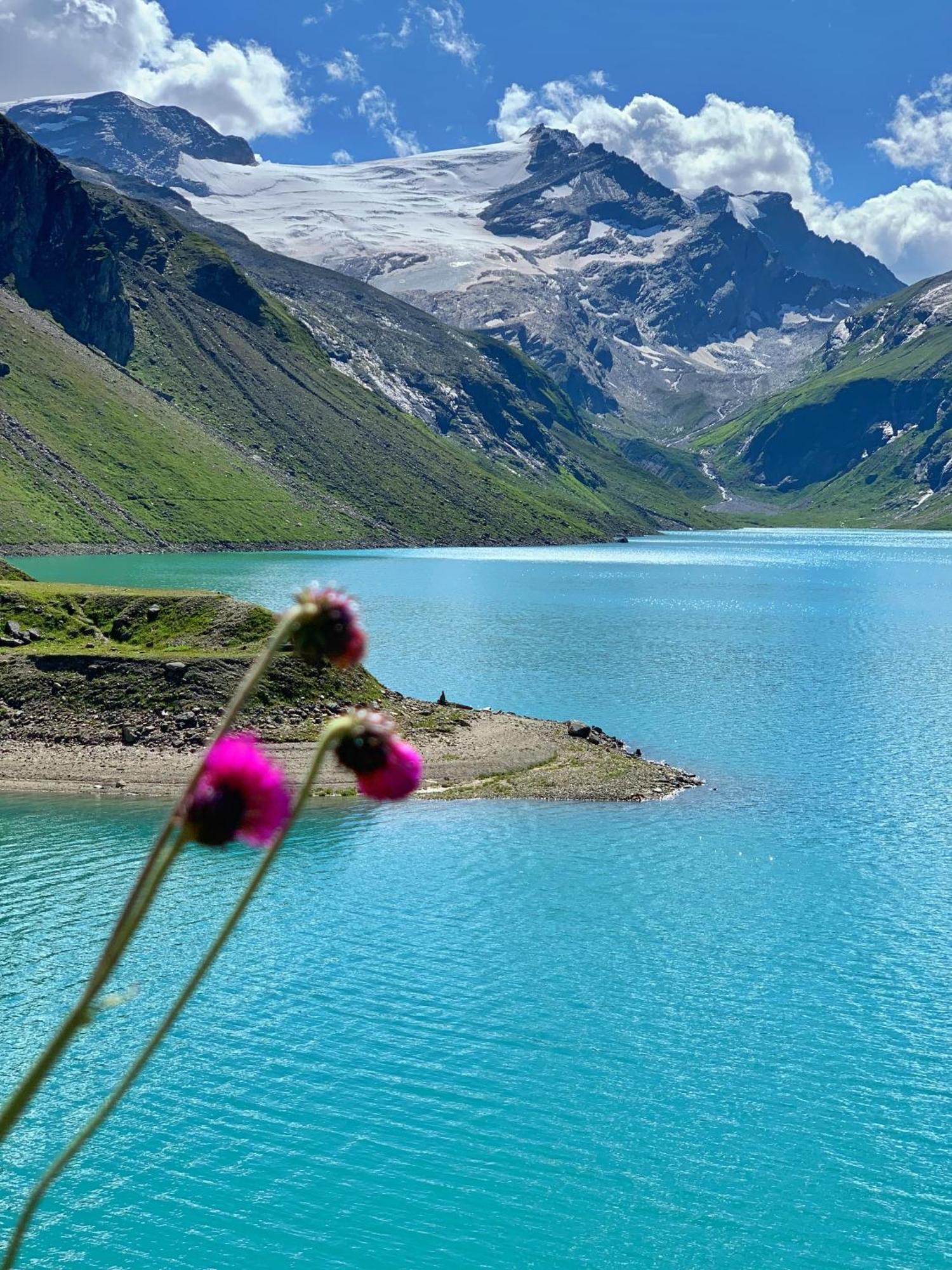 Pension Erlhof Saalfelden Dış mekan fotoğraf