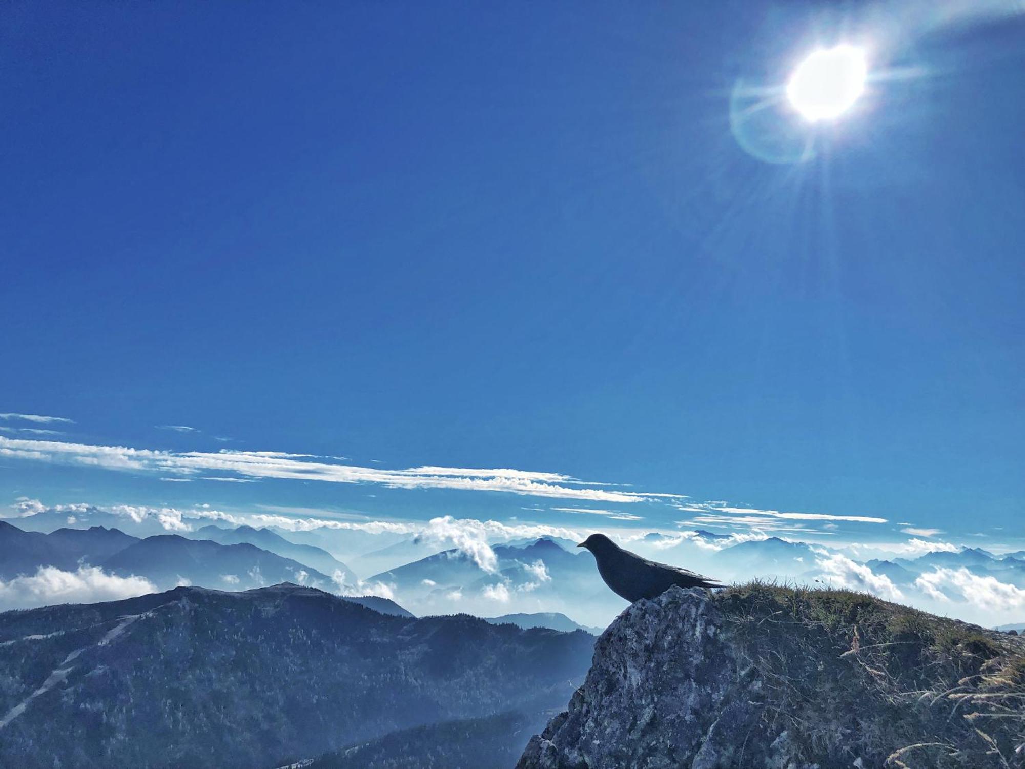 Pension Erlhof Saalfelden Dış mekan fotoğraf