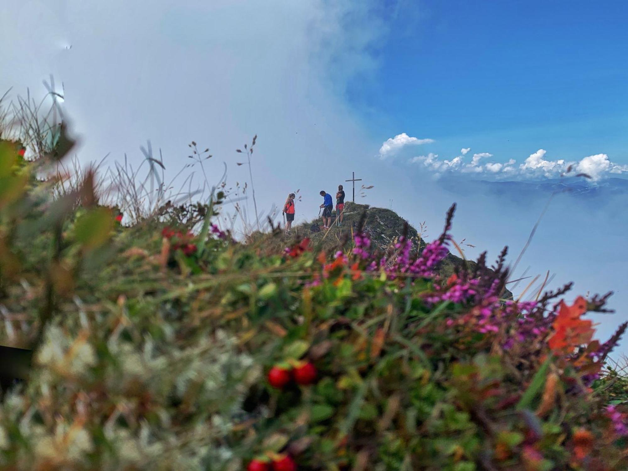 Pension Erlhof Saalfelden Dış mekan fotoğraf