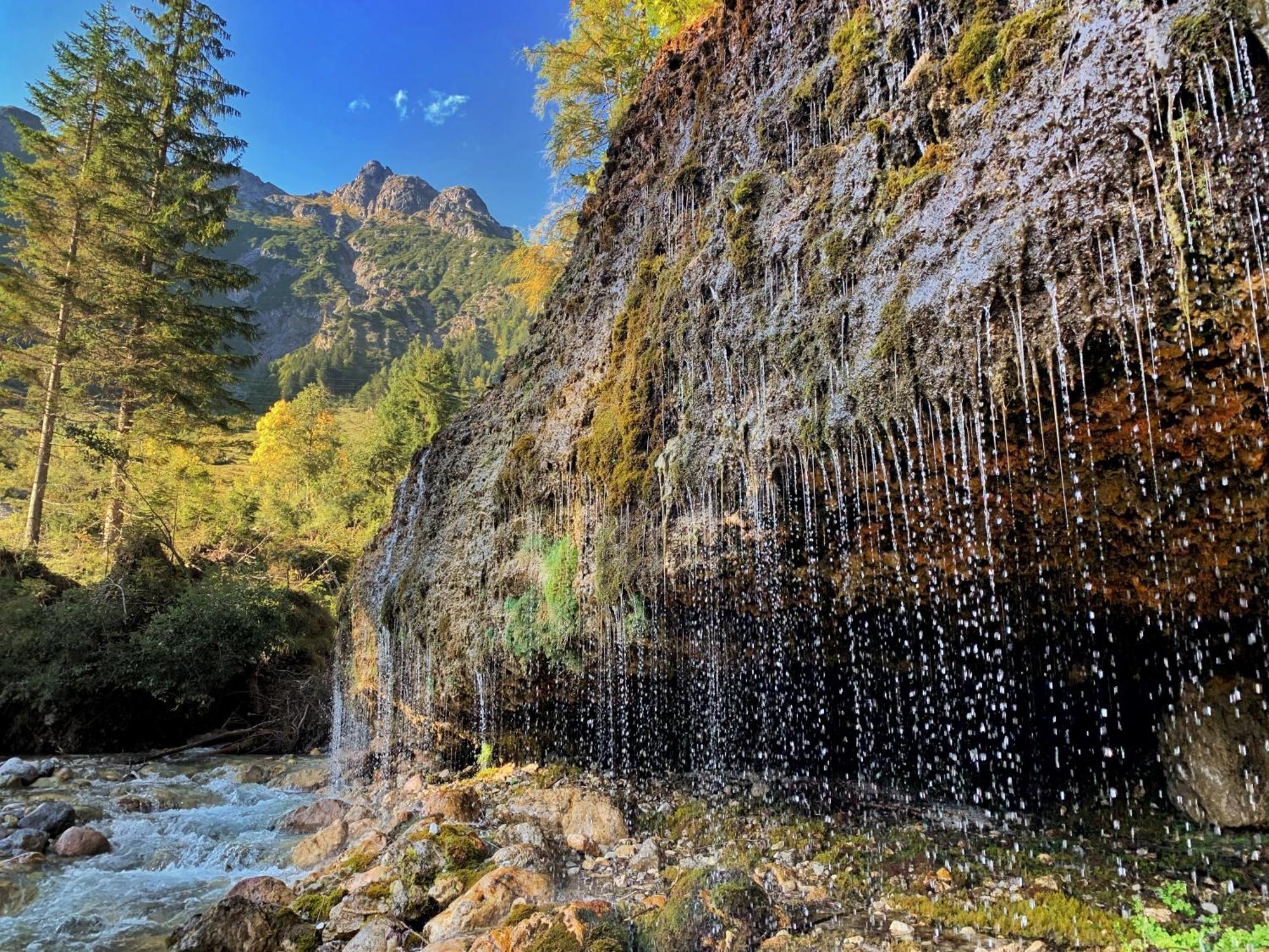 Pension Erlhof Saalfelden Dış mekan fotoğraf