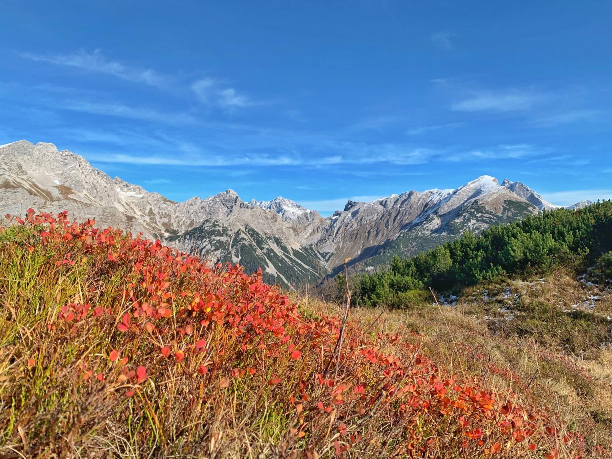Pension Erlhof Saalfelden Dış mekan fotoğraf