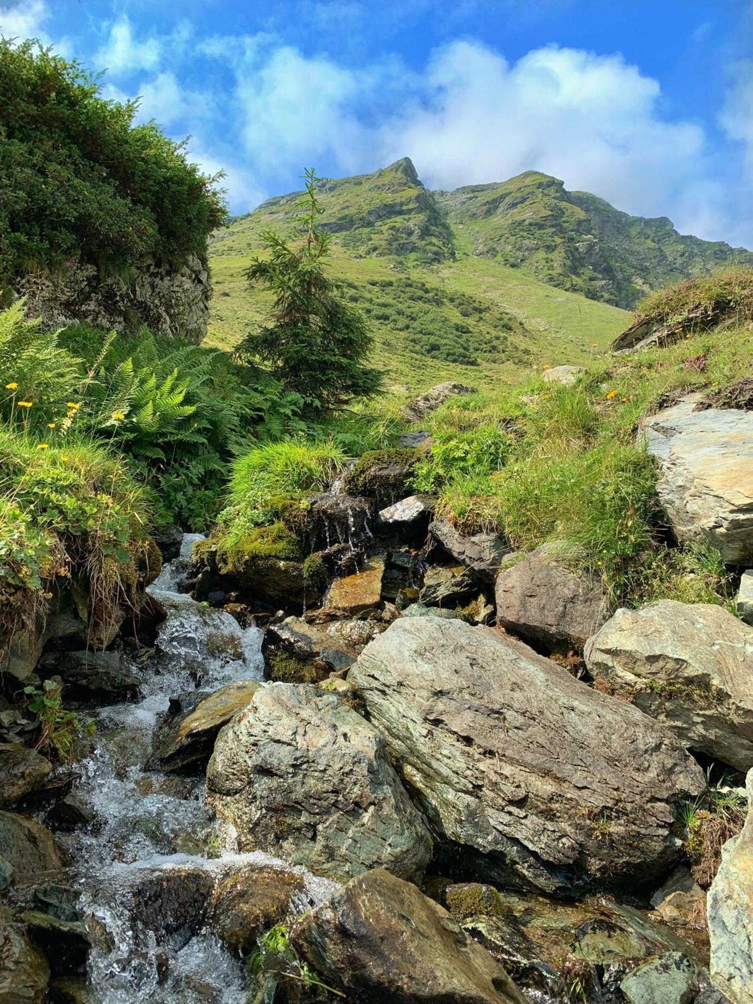 Pension Erlhof Saalfelden Dış mekan fotoğraf