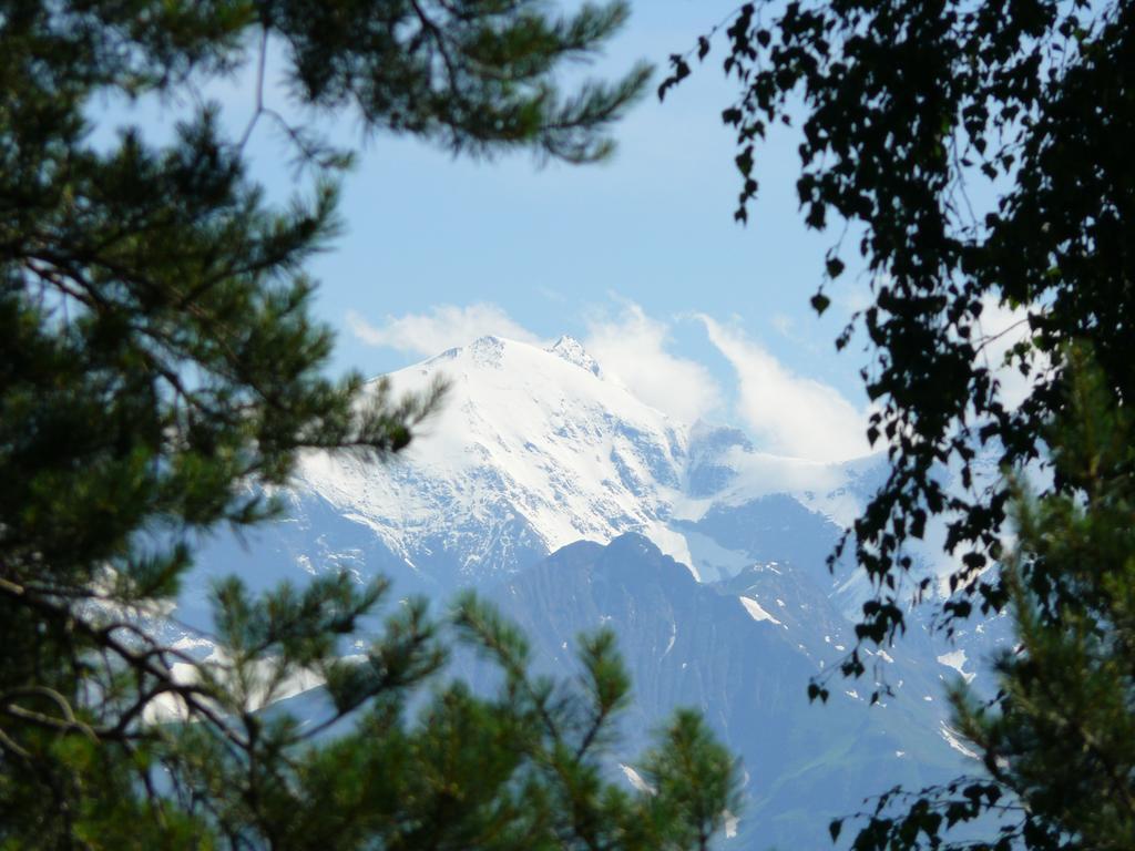 Pension Erlhof Saalfelden Oda fotoğraf